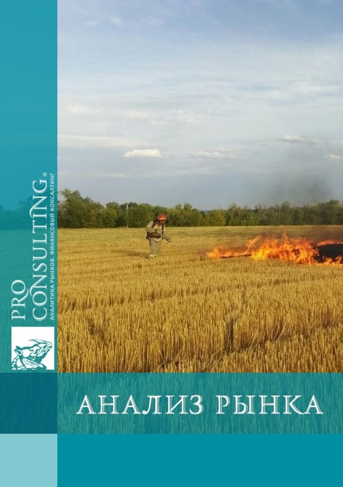 Анализ влияние войны на аграрные рынки Украины за 4 кв. 2023 г. 2024 год